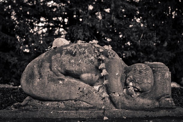 16103016402_e72c69d419_z-2