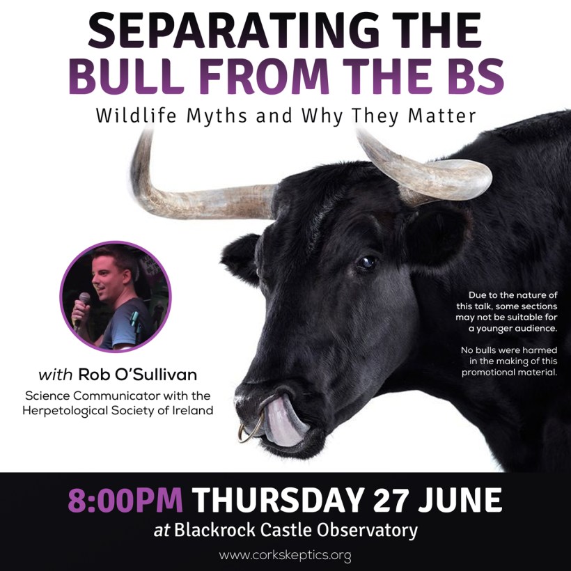 Rob_Talk_Promo_Square